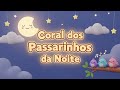 Música De Ninar Infantil Coral Dos Passarinhos Da Noite Para Dormir