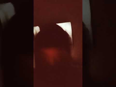 BULLDOG FANTAZMA LIVE ON MODELO MALVADÃO WITH LORD TAGMAN