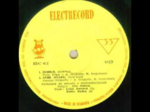 Luigi Ionescu-Zorile