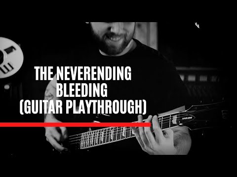 I WAS BORN TWICE - THE NEVERENDING BLEEDING (Guitar Playthrough)