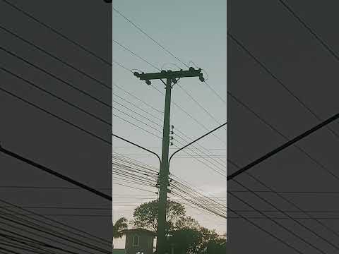 Fumaça Abengoa Arredores da Av Padre Vaness em Pirassununga SP BR 12.05.2026 06:30 horas. Frio 8°