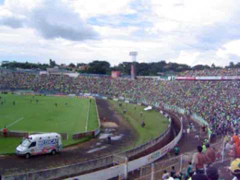 Palmeiras x Juventus - comemoração do 3º gol