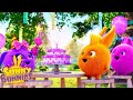 Birthday Party | Sunny Bunnies | Cartoons for Kids | WildBrain Zoo