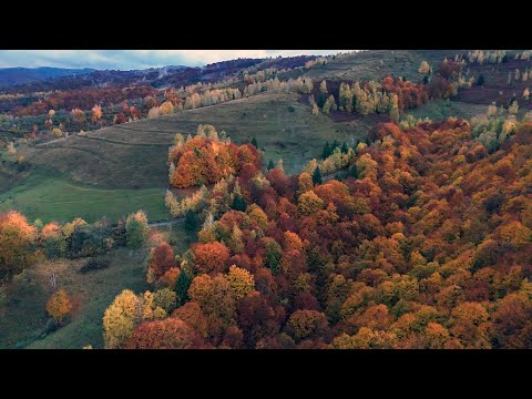 Toamna in satul Meria, Comuna Lunca Cernii de Jos, Jud. Hunedoara | DJI Mini 4 PRO