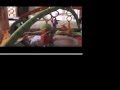 Abigail S First Birthday Movie