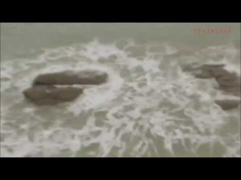 Mermaid Sighting in Israel (27/05)