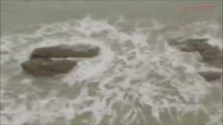 Download lagu Mermaid Sighting in Israel (27/05) mp3 Download lagu Mermaid Sighting in Israel (27/05) mp3