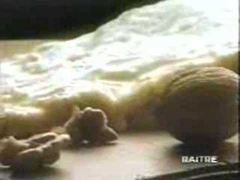 Marco Papa - Tortellini Rana