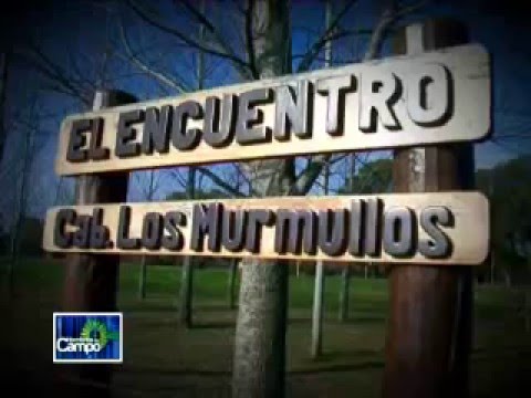 Cabaña Los Murmullos