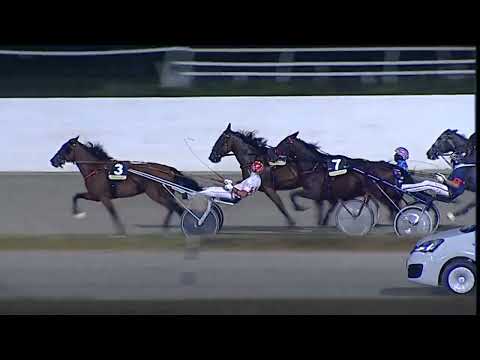 Napoli Trotto 28/07/2023 - 8ª corsa