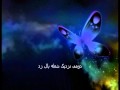 Poem Of The Butterflies by Salar Aghili 