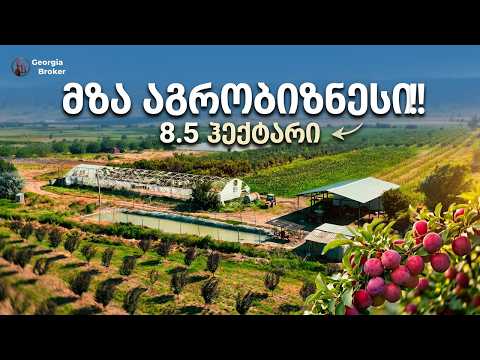 იყიდება სამეურნეო მიწის ნაკვეთი