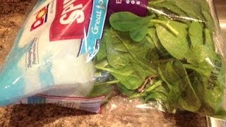 Bird Foot in Salad