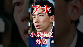 小泉構文炸裂！失礼記者に苦笑#国会 #切り抜き #自民党 #政治 #石破茂