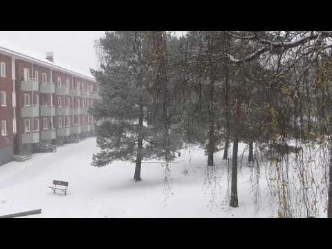 Dagens väder, 2016-11-07