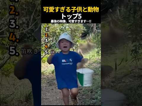 可愛すぎる子供と動物