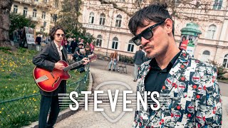 Video Steven's | Fat Cat [Official Video]