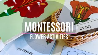 Montessori Spring Activities|Spring Flower Activities for Kids #montessoriwithhart