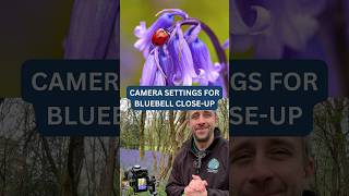 Bluebell Photography Settings You Need to Know