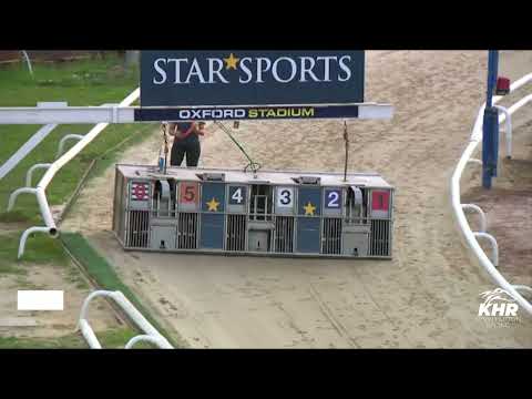 SOUTHFIELD POPPY - BGBF BRITISH BRED OAKS HEAT 1