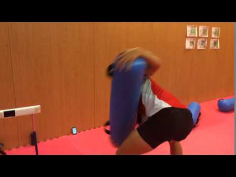 Japan Rugby: Functional Circuit