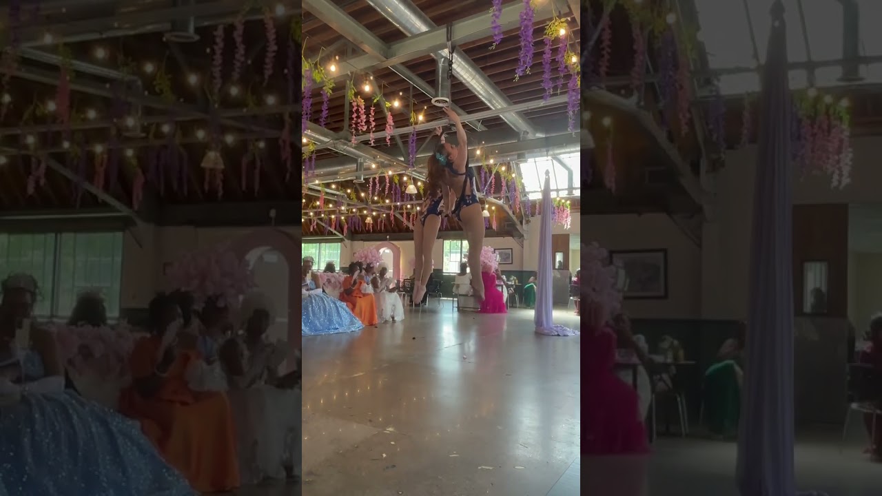 Promotional video thumbnail 2 for Aerial Cherry