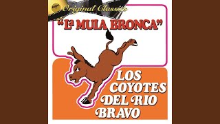 La Mula Bronca