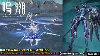 鳴潮 2周年 カルテジア【フルールドリス】3凸 ホロタクティクス シギルム レベル100 単体 チャレンジ【Wuthering Waves】