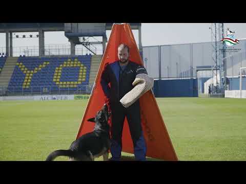 WUSV WORLD CHAMPIONSHIP 2023 HUNGARY HELPERS