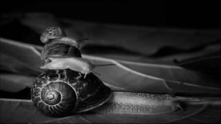 BLNDR - Untitled 3 (Modvs Remix)