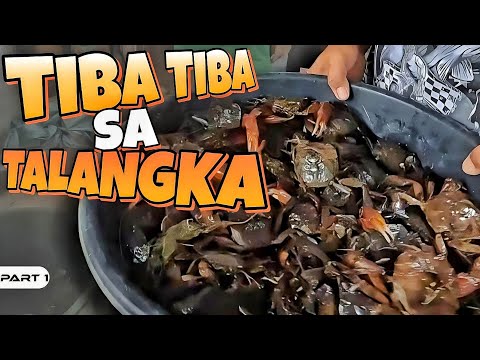 P1 - Tiba Tiba sa Talangka - EP1001