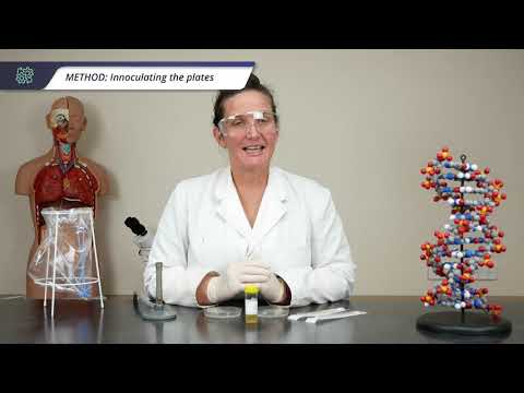 Exploring Antibiotic Resistance