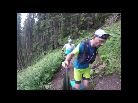 Poiana Izvoarelor - Prepeleac - Bucsoiu