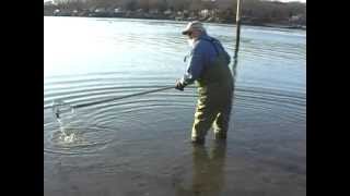 preview picture of video 'Guilford Shellfish Commision Clamming Demonstration'