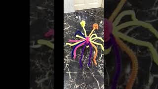 Who want to play with spider?