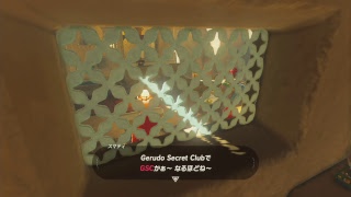 ゼルダの伝説ブレスオブザワイルド　初見プレイ#13　四神獣の部族