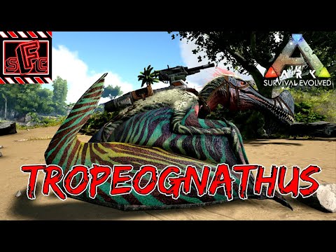 Checking out the Tropeo on Console!!