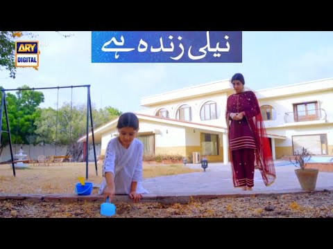 Neeli Zinda Hai - Episode 31 Ary Digital | neeli Zinda Hey Ep 31 | نیلی زندہ ھے