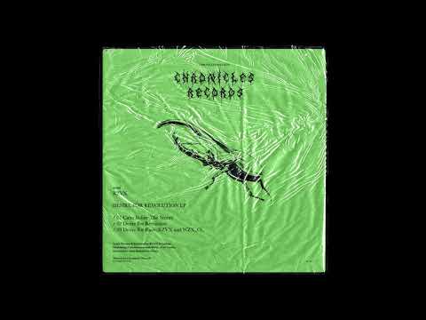 RZVX - Desire For Revolution