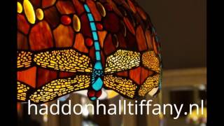 Haddon Hall Tiffany lampen - Red Green Dragonfly