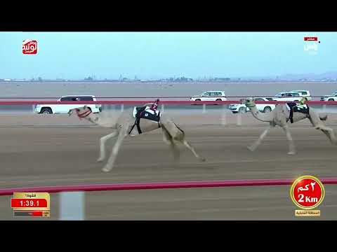 ش 1 (خلابه) لـ سعيد راشد بن سلطان العرياني 4:33:36 ، مهرجان العين 2026/07/08 لقايا الروضة