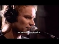 FIELDS OF GOLD - STING - CAMPOS DORADOS ...