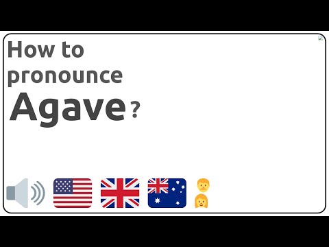 How to pronounce Agave in english?
