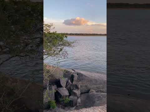 Hermoso nuestro río Orinoco #puertocarreño #vichada #rios #usatiktok