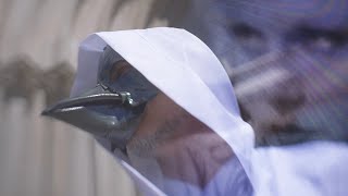 a shoreline dream – “harlow syndrome”