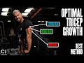 HOW TO Maximise Tricep Growth (2 BEST Exercises)