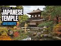 Lets Build A Japanese Temple - Ark Survival Ascended