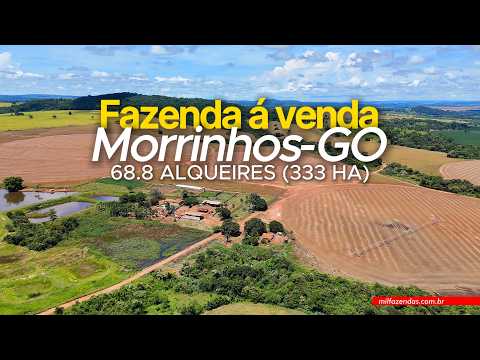 Fazenda com Logística excelente à venda - 68 8 alqueires em Morrinhos, GO #fazendaavenda #agro
