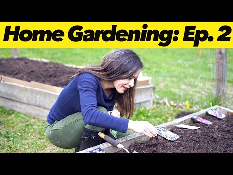 , title : 'How to Start Seeds | Home Gardening: Ep. 2'