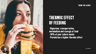 How our bodies use calories